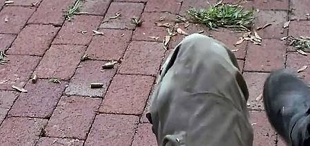 (行屍走肉S06E08中英雙字.mp4)[00.04.59.716]