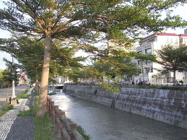 RIMG0069.JPG