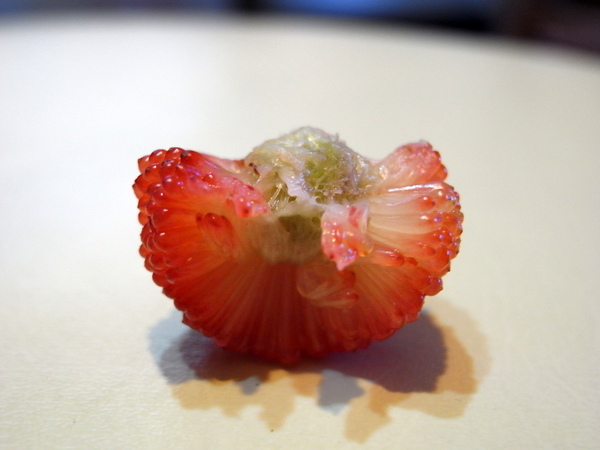R0010240.JPG R0010240.JPG