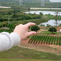 P1020704.JPG P1020704.JPG