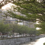 RIMG0077.JPG RIMG0077.JPG