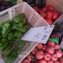 R0010178.JPG R0010178.JPG