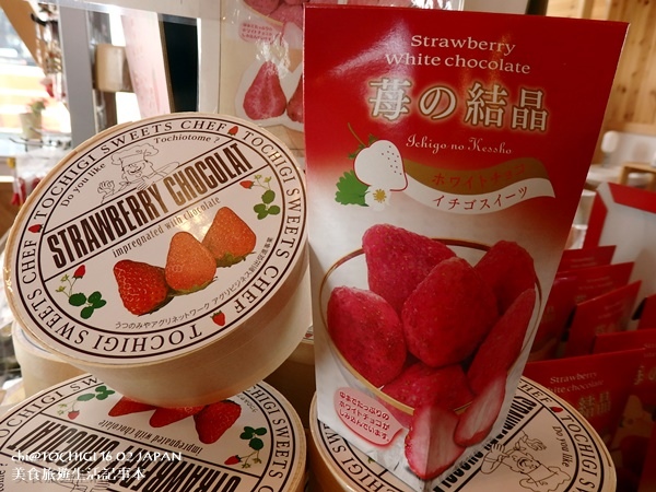 歷木採草莓6.jpg