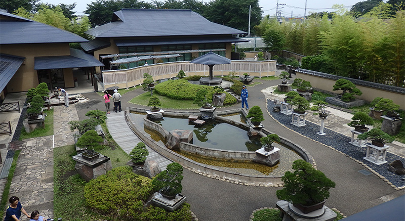 埼玉大宮盆栽美術館園區