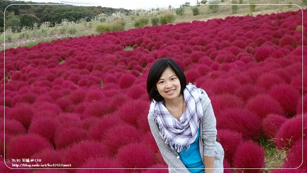 茨城國營海濱公園10.jpg