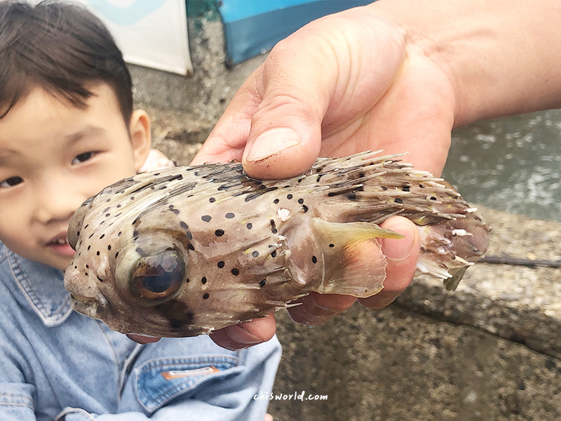 鮮物本舖06.jpg