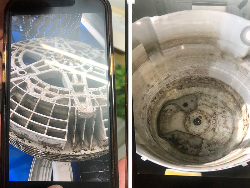 智樂家洗衣機清洗範例