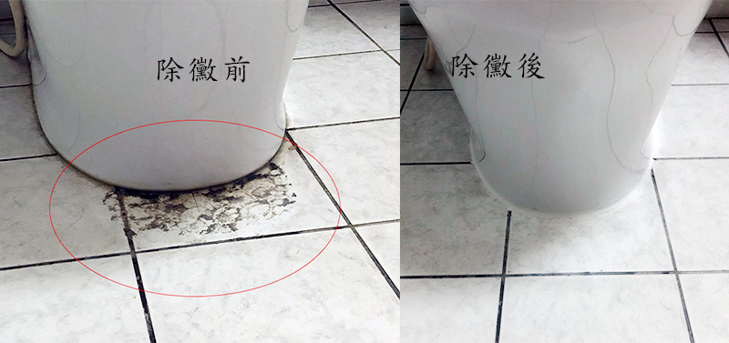黴問題8.jpg