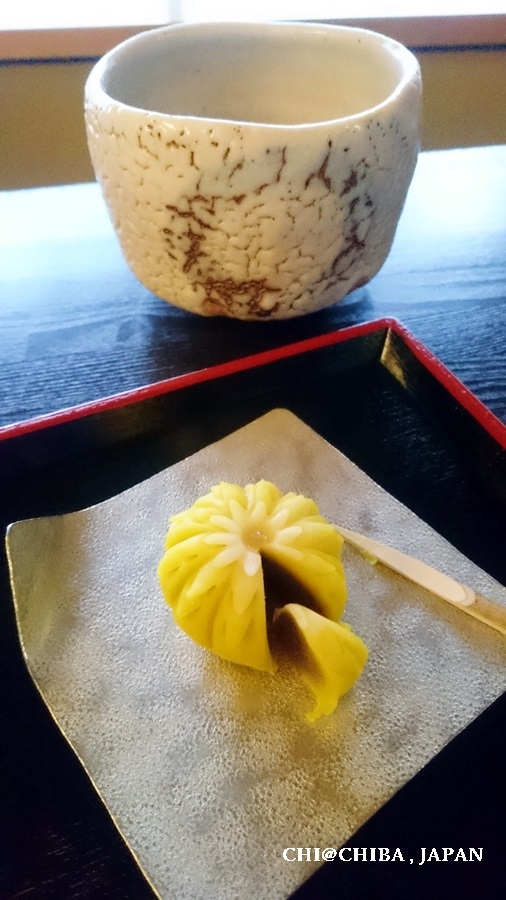 千葉佐倉03.jpg