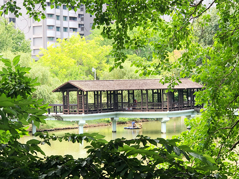 新竹公園角落