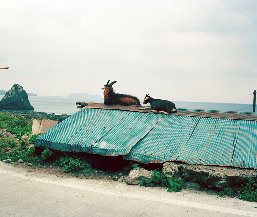 lanyu-120 015-2.jpg