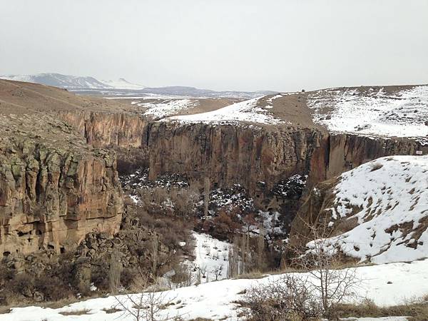 IMG_9239.JPG IMG_9239.JPG