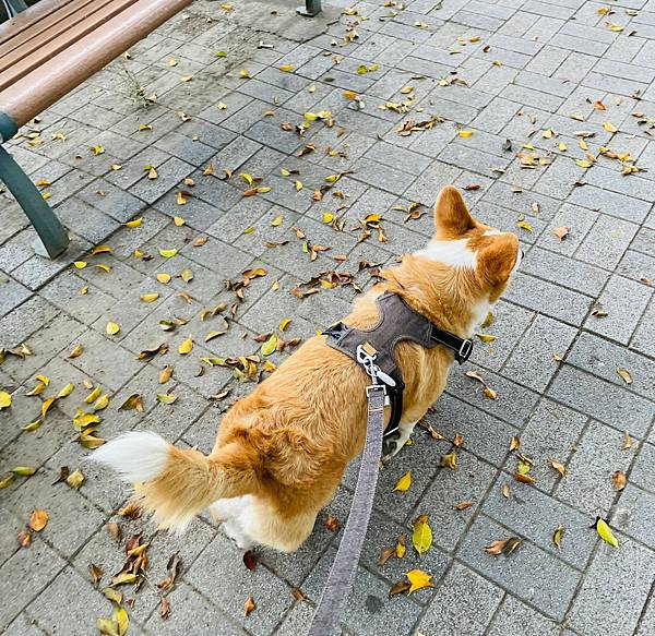 LINE_ALBUM_藍牙_220405_18 LINE_ALBUM_藍牙_220405_18