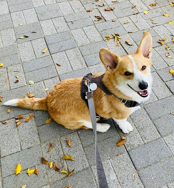 LINE_ALBUM_藍牙_220405_19 LINE_ALBUM_藍牙_220405_19