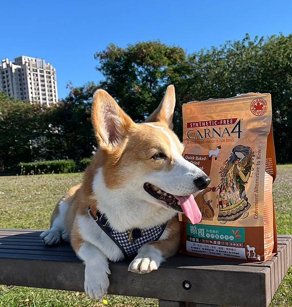 LINE_ALBUM_卡娜芙_241217_12