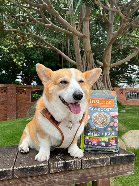 LINE_ALBUM_原點_250708_2