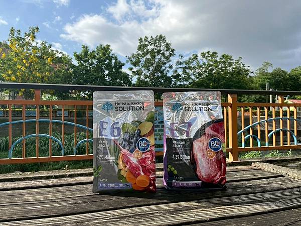 LINE_ALBUM_耐吉斯_250730_28