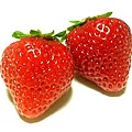 草莓1101.jpg