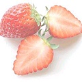 草莓1102.jpg