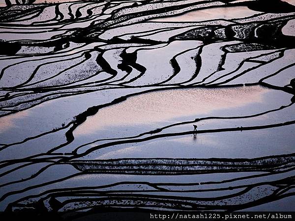 farmer-rice-terraces-china