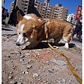 DSC03295.JPG
