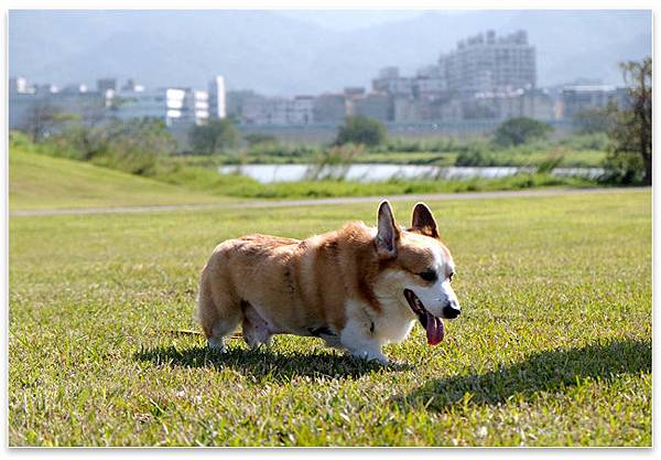 網誌_W