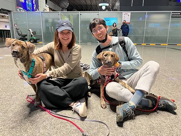 這裡空白的四年半