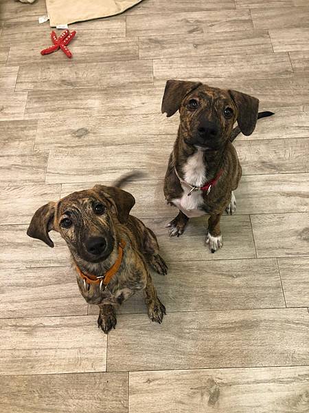 這裡空白的四年半