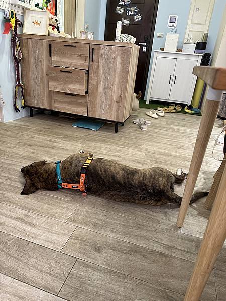 [島璐] 到府保母儲備計畫(2)