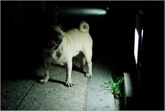 今天我想說的故事是…