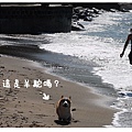 2010.10.11淺水灣第一次游泳