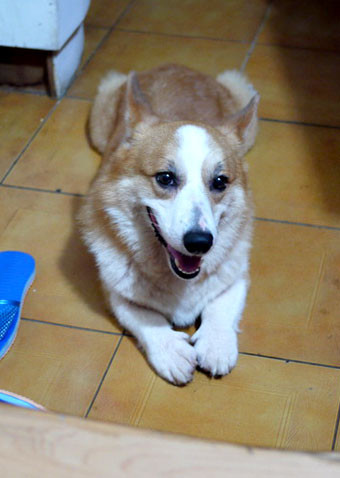 aaa