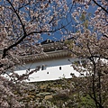 20120408和歌山城