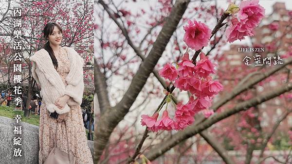 內湖樂活公園櫻花季｜2021年最新花訊｜賞櫻地圖、交通、地點、花語｜櫻花林綻放、美麗景點盡收眼裡！