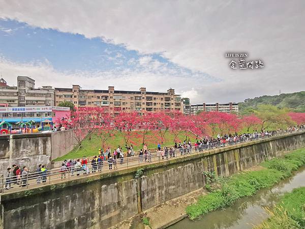 內湖樂活公園櫻花季｜2021年最新花訊｜賞櫻地圖、交通、地點、花語｜櫻花林綻放、美麗景點盡收眼裡！