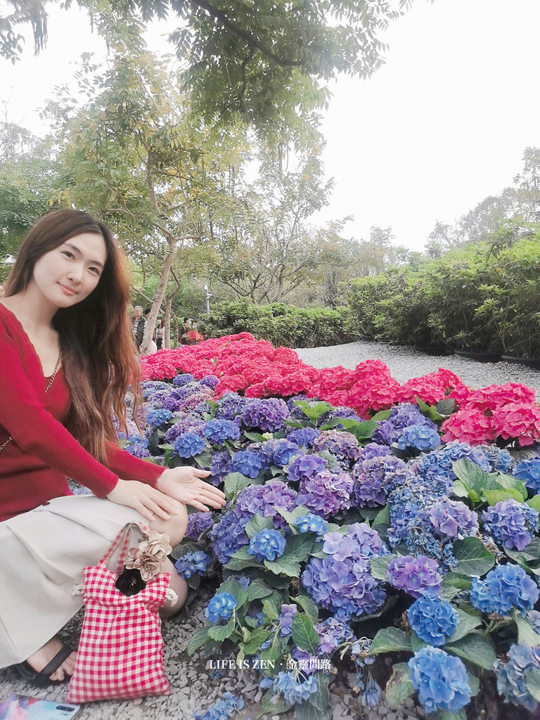 賞花踏青趣｜《大安森林公園》巨大花椰菜／繡球花／杜鵑花／薰衣草奔放大自然  (171).jpg