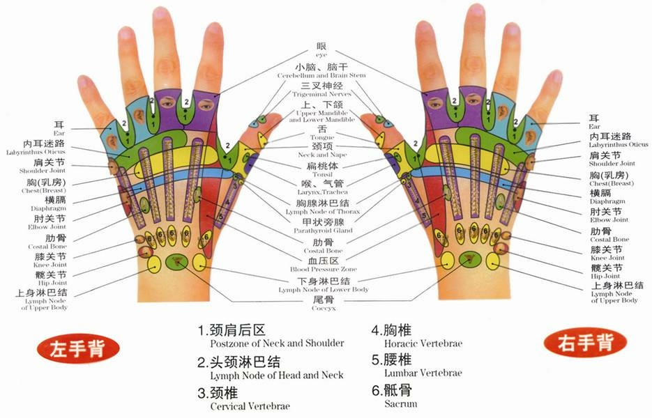 人體穴位圖介紹｜保養穴道：手背、手掌｜天界之舟 行善濟世.jpg