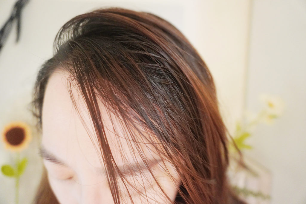 開箱｜ZCJ BEAUTY 馥澤平衡洗髮露、春玉潤髮油｜香氛