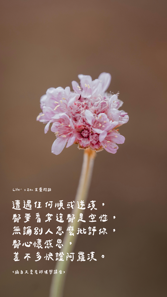 ins質感風手機桌布分享｜免費手機桌布下載｜質感手機桌布｜高清手機桌布｜好看的手機桌布14.png