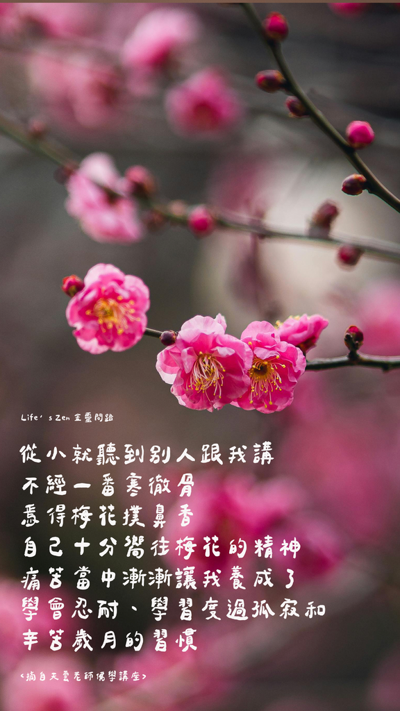 ins質感風手機桌布分享｜免費手機桌布下載｜質感手機桌布｜高清手機桌布｜好看的手機桌布15.png