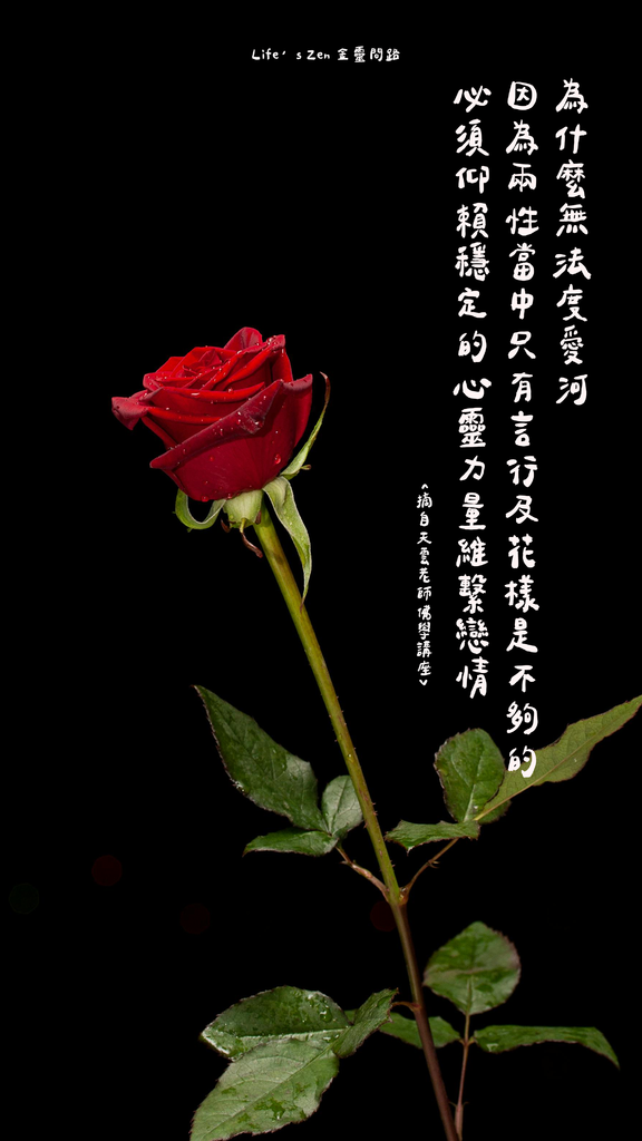 ins質感風手機桌布分享｜免費手機桌布下載｜質感手機桌布｜高清手機桌布｜好看的手機桌布23.png