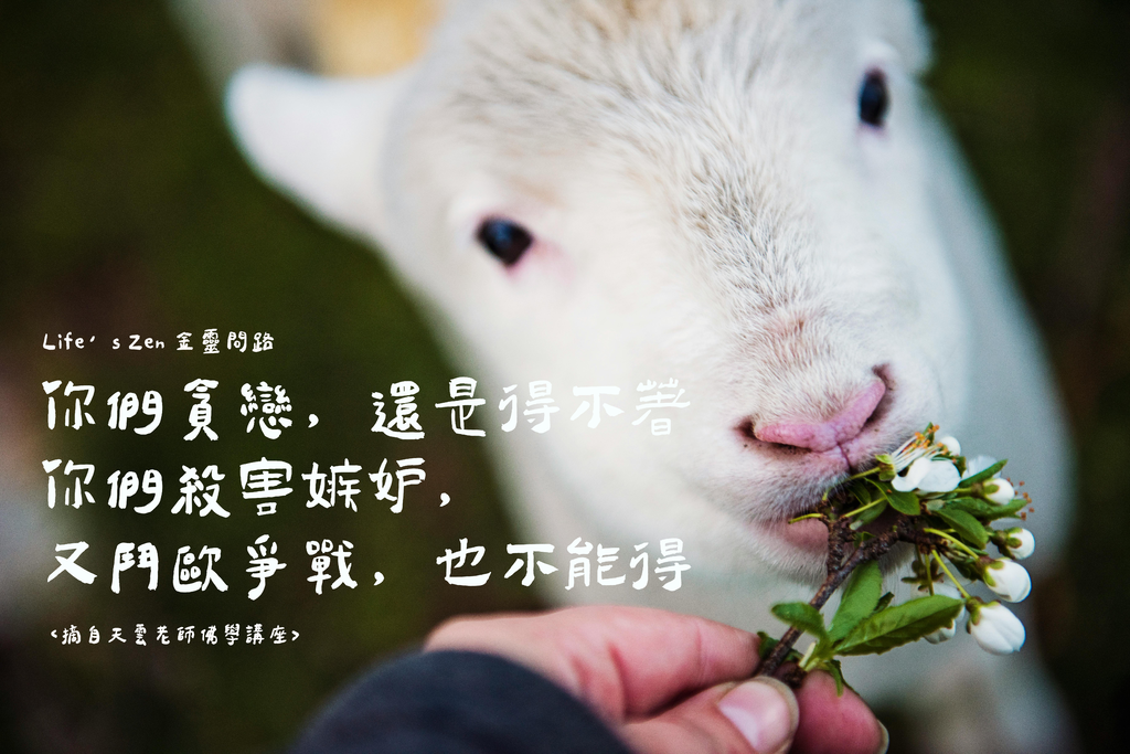 天雲大師父開示｜生活即是道場｜你們貪戀，還是得不著，你們殺害嫉妒，又鬥毆爭戰，也不能得｜天界之舟行善濟世.png