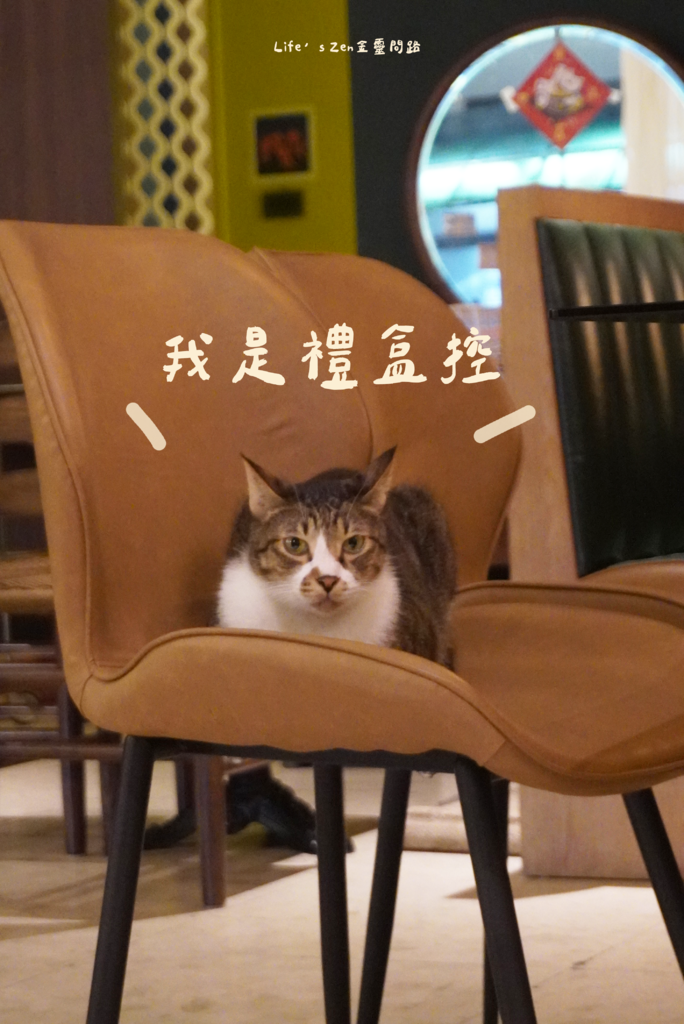 汐止氛圍感咖啡廳【蜉蝣喫茶】，有不怕生的喵喵，餐點甜點飲品都很喜歡14.png