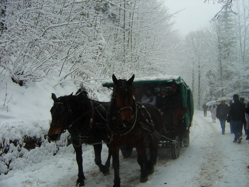 馬車