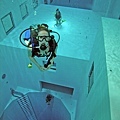 NEMO 33