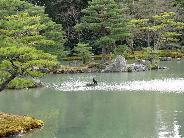 IMG_2752金閣寺14.JPG