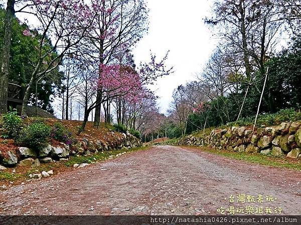 |台灣·台中|新社莊園·在台灣的歐洲古堡花園