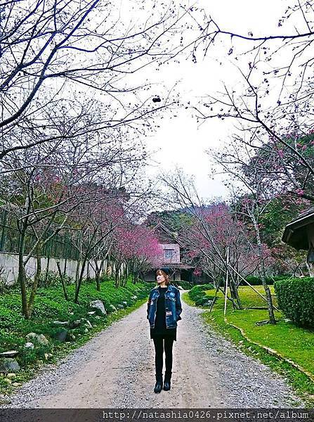 |台灣·台中|新社莊園·在台灣的歐洲古堡花園