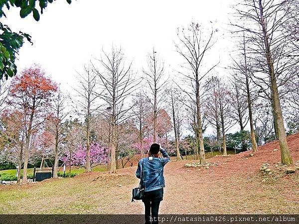 |台灣·台中|新社莊園·在台灣的歐洲古堡花園