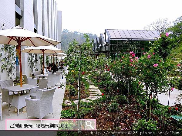 |台灣·苗栗|雅聞七里香玫瑰森林·免費景點·與上千株玫瑰的約會